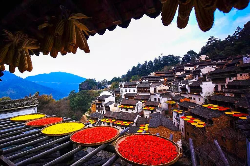 赣江古韵，词人江西行记