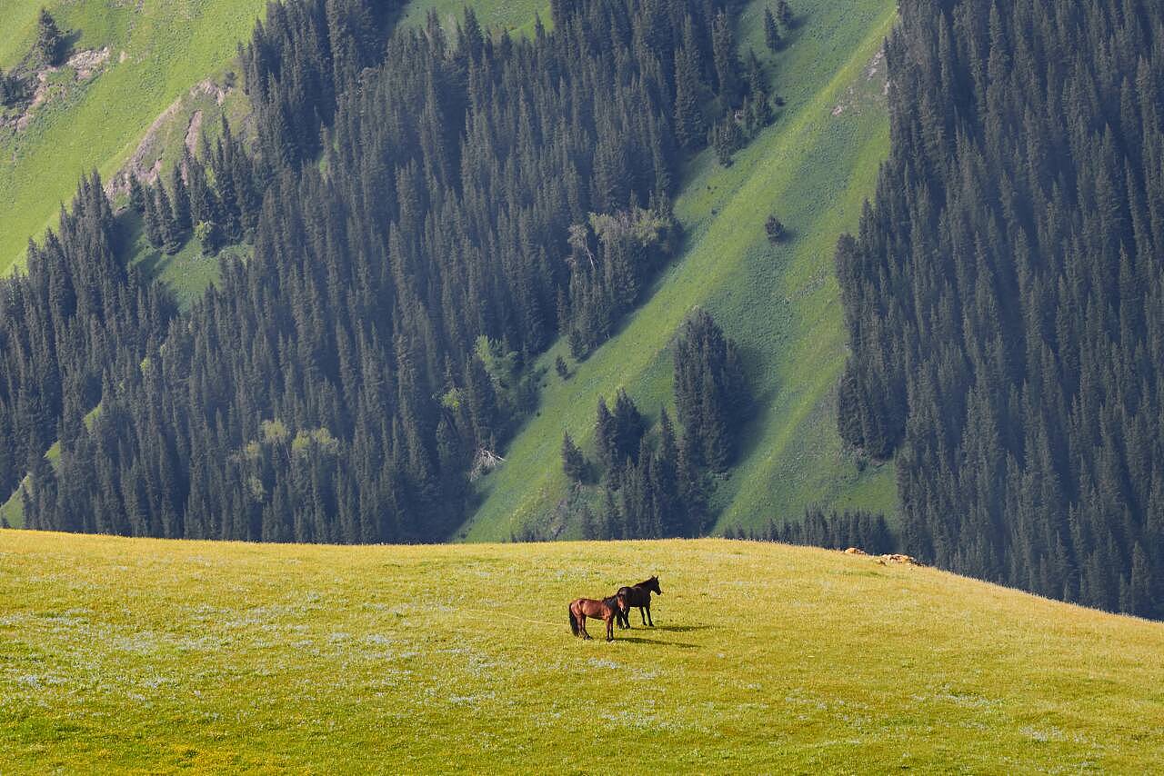 多元文化交融下的新疆地区发展研究