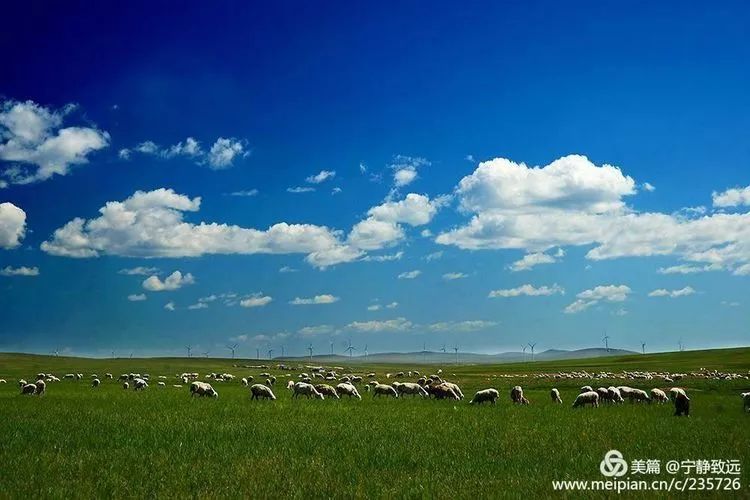 呼伦贝尔，北疆绿色明珠与外交合作新桥梁